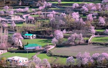 Base camp at Skardu Velley Blossom Tours
